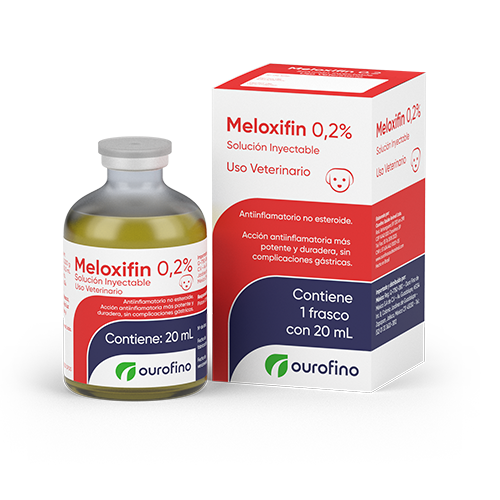 Meloxifin  0.2%