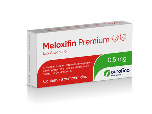 Meloxifin Premium