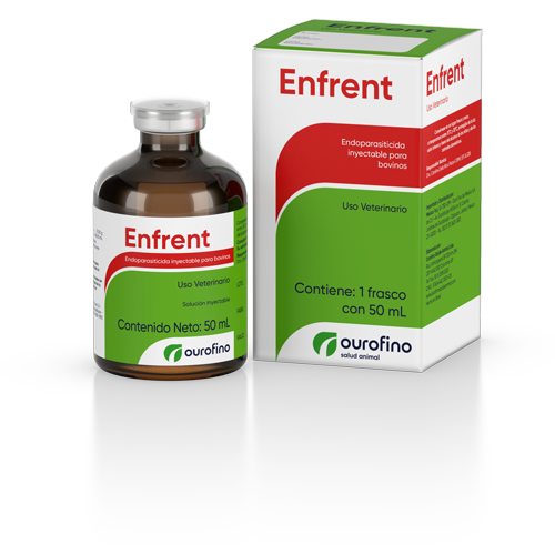 Enfrent