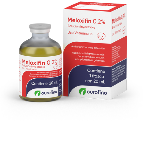 Meloxifin  0.2%