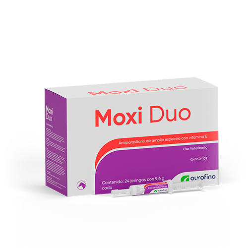 Moxi Duo